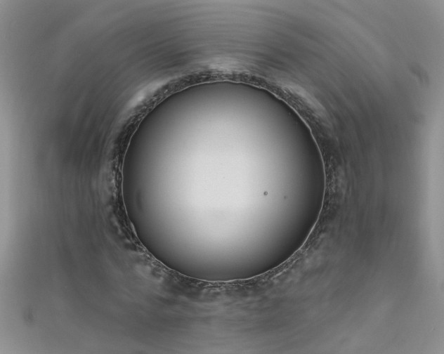 X0000111520776200907141507