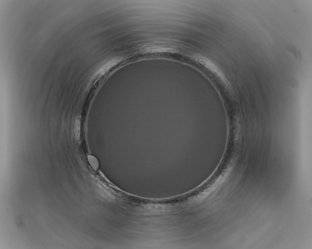 X0000111520777200907141507