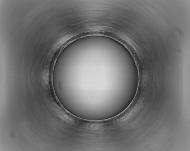 X0000111520778200907141507