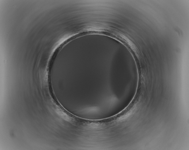 X0000111520779200907141507
