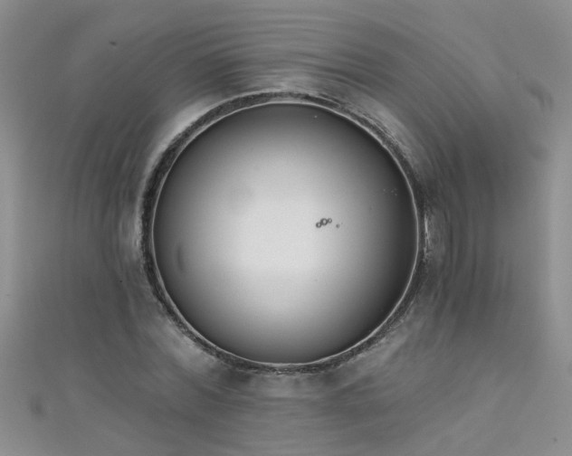 X0000111520780200907141507
