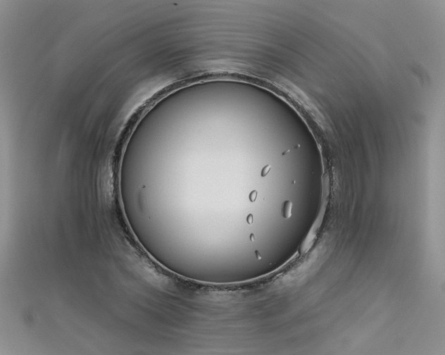 X0000111520782200907141507
