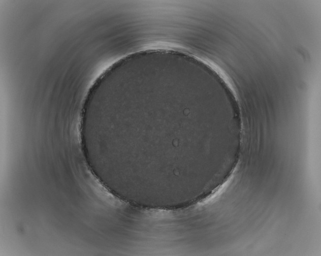 X0000111520783200907141507