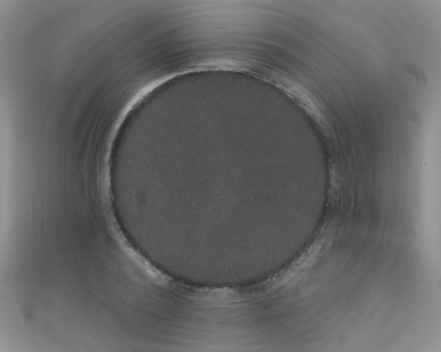 X0000111520784200907141507