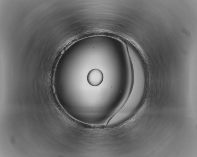 X0000111520785200907141507