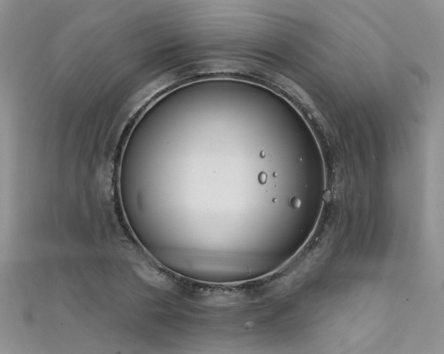 X0000111520786200907141507