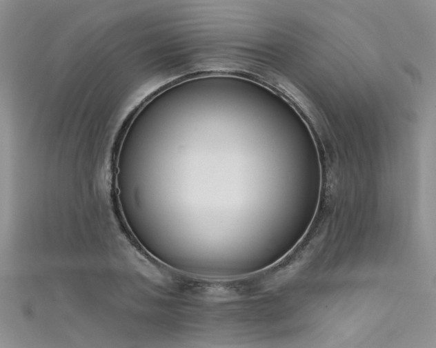 X0000111520787200907141507