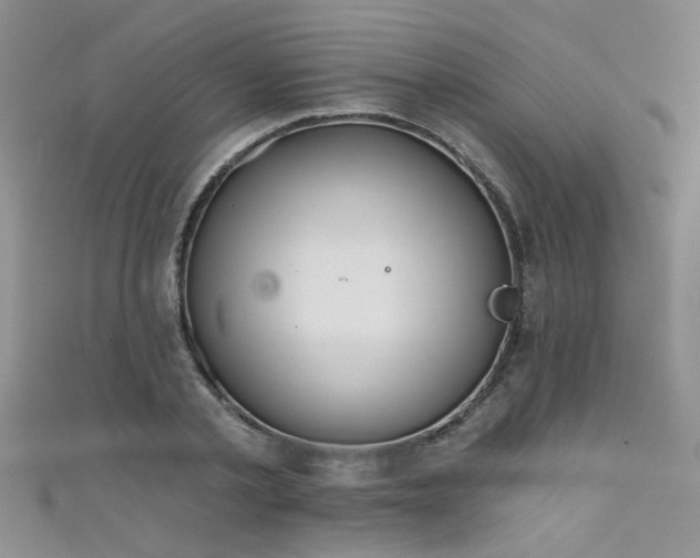 X0000111520789200907141507