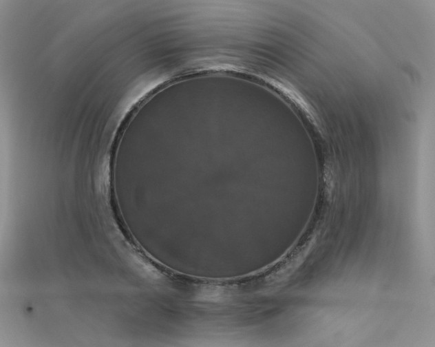 X0000111520790200907141507