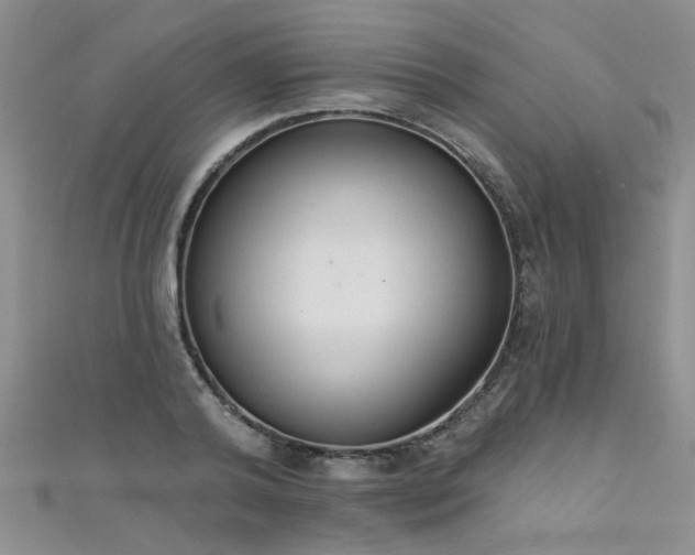 X0000111520792200907141506