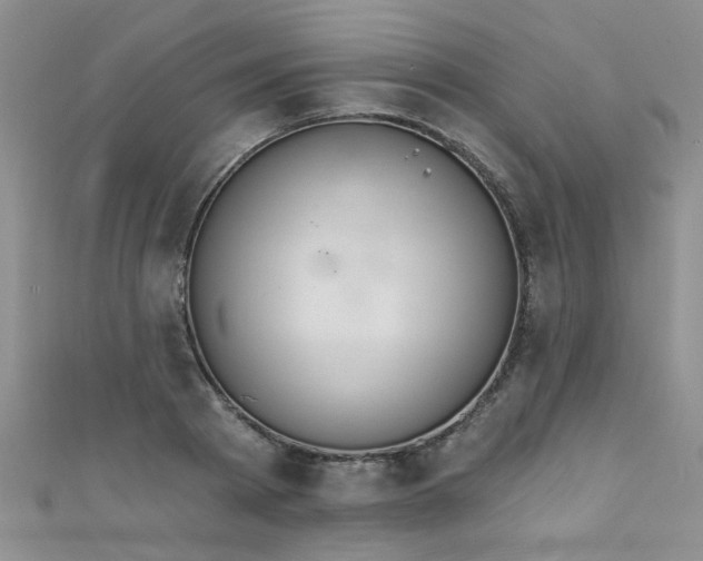 X0000111520793200907141506
