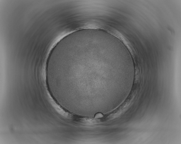 X0000111520795200907141506