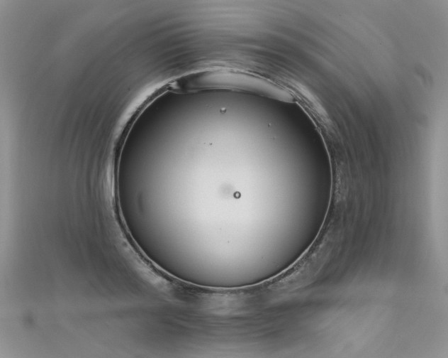 X0000111520796200907141506