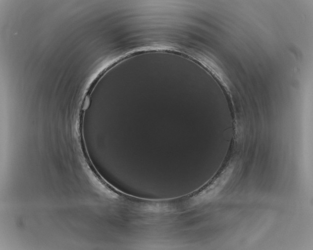 X0000111520797200907141506