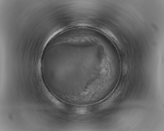 X0000111520798200907141506