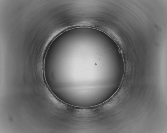 X0000111520800200907141506