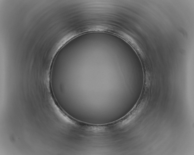 X0000111520802200907141506