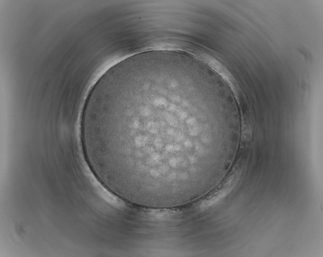 X0000111520803200907141506
