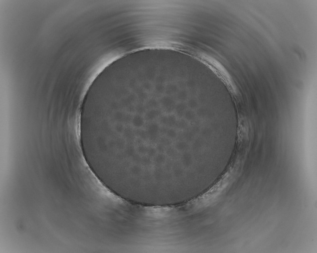 X0000111520804200907141506