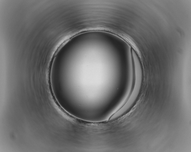X0000111520805200907141506