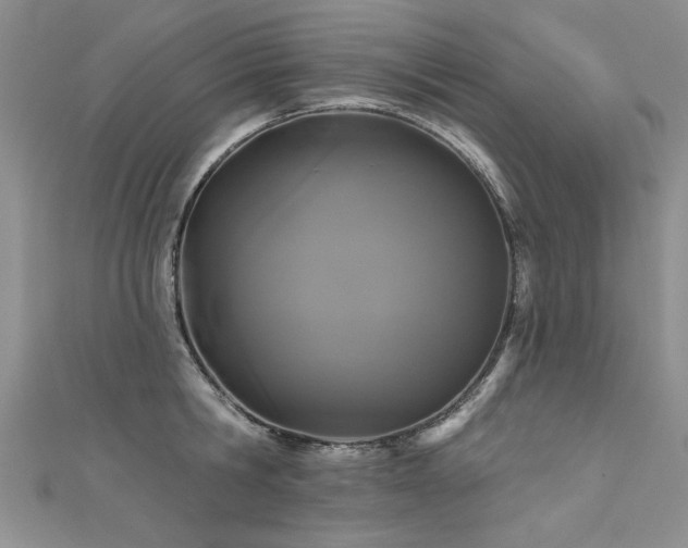 X0000111520806200907141506