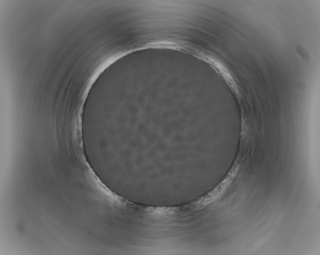 X0000111520808200907141506