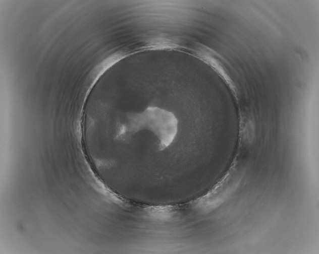 X0000111520810200907141506
