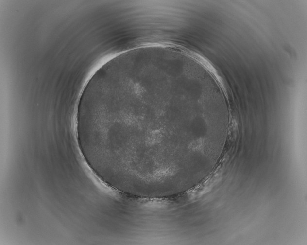 X0000111520811200907141506