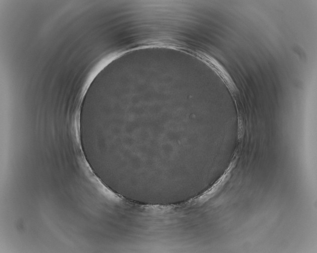 X0000111520812200907141506