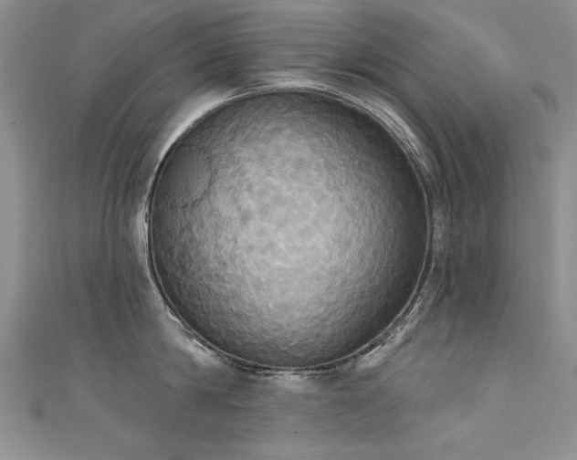 X0000111520814200907141506