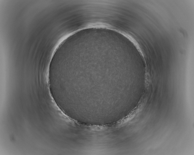 X0000111520815200907141506