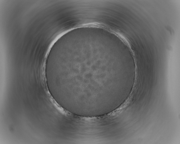 X0000111520816200907141506
