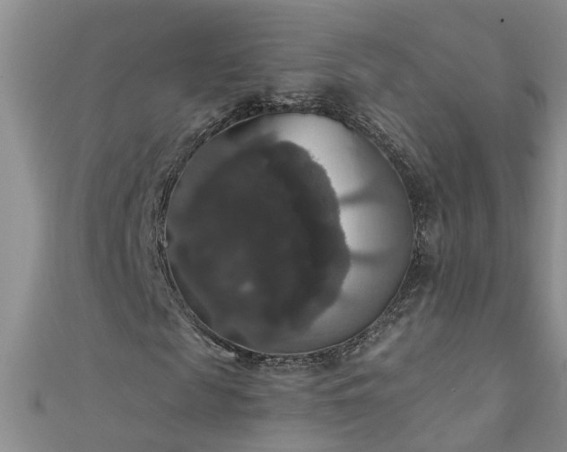 X0000111520817200907141506