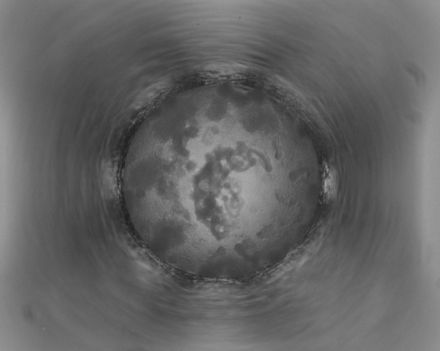 X0000111520819200907141506