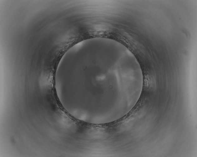 X0000111520820200907141506