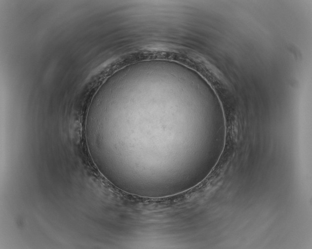 X0000111520821200907141506