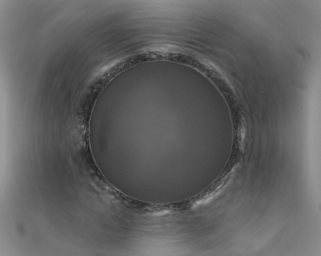X0000111520822200907141506