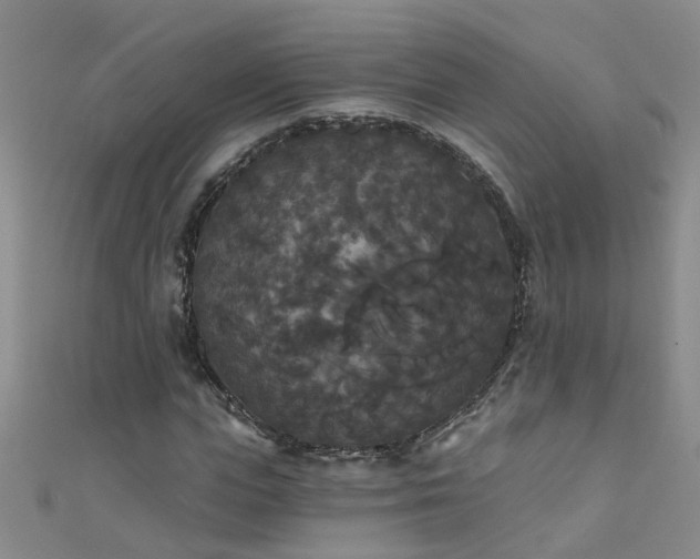 X0000111520823200907141506