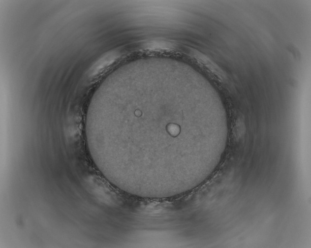 X0000111520824200907141506