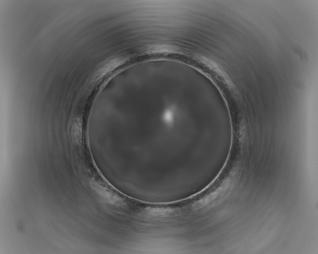 X0000111520825200907141506