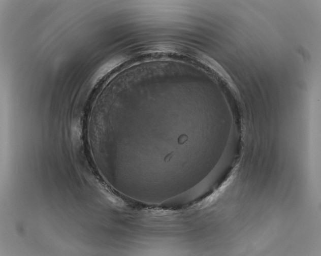 X0000111520826200907141506