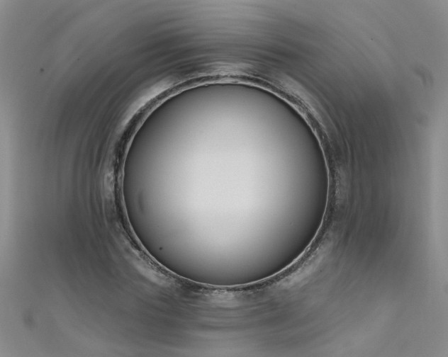 X0000111520827200907141506