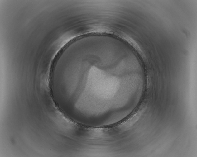 X0000111520828200907141506