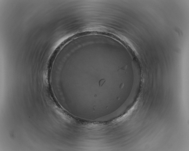 X0000111520830200907141506