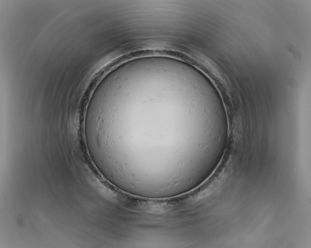 X0000111520831200907141506