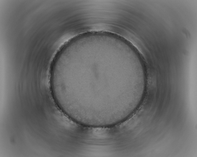X0000111520832200907141506