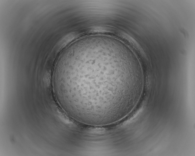 X0000111520833200907141506