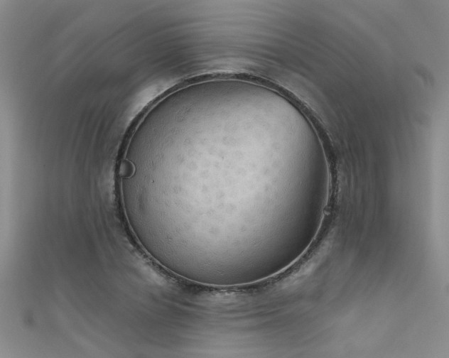 X0000111520834200907141506