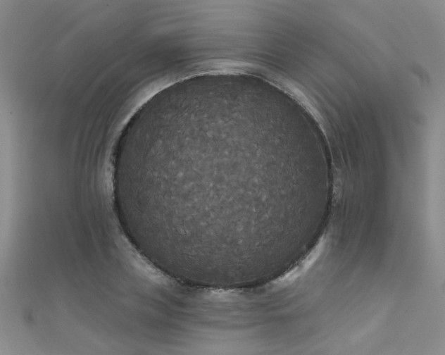 X0000111520835200907141506