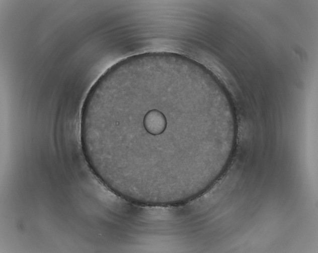 X0000111520836200907141506